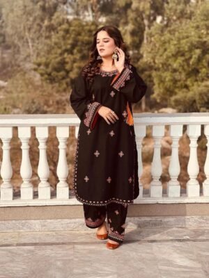 New Balochi Embroidery 2Pcs